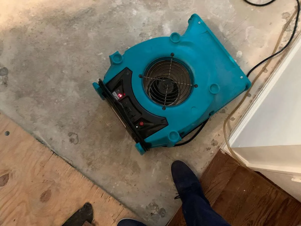 Air mover drying subfloor during Leak Detection & Repair in Clay